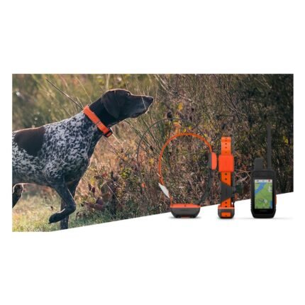 Garmin Alpha 300K T20K kit GPS de localisation pour chien